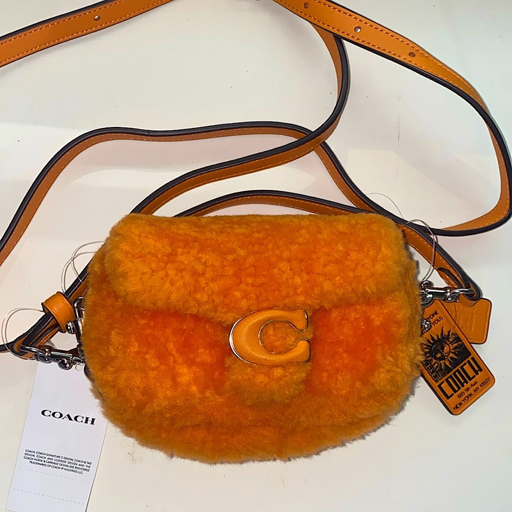 Coach mini purse
